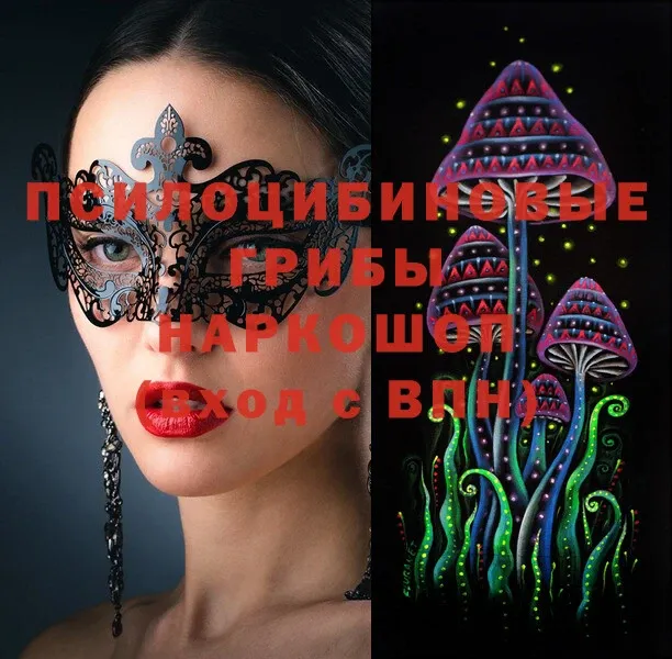 Псилоцибиновые грибы Psilocybe  Суоярви 